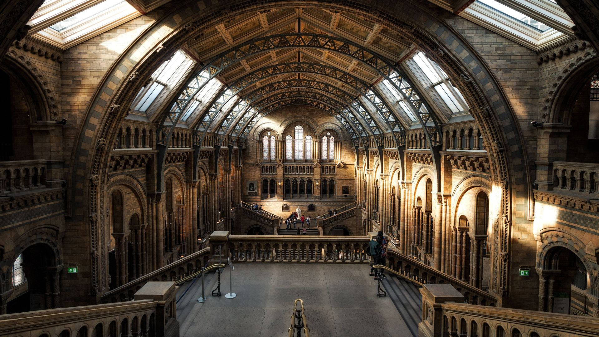 Natural History Museum Background