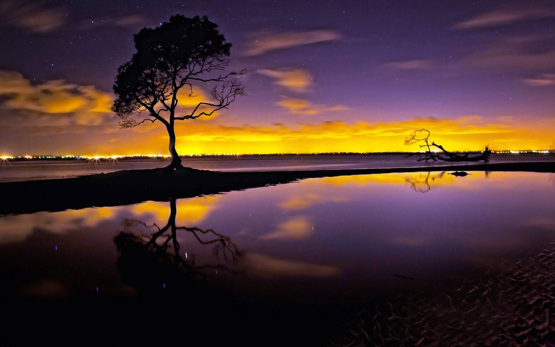 Natural Lake And Tree Sunset Purple Aesthetic Background