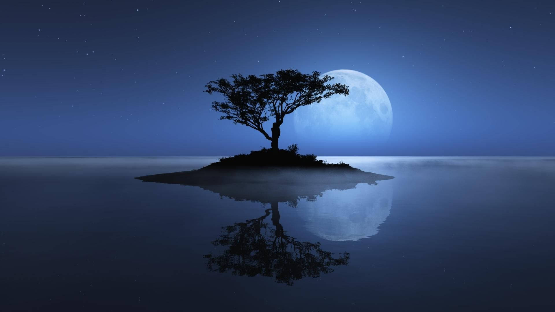 Natural Tree On Island During Full Moon Background