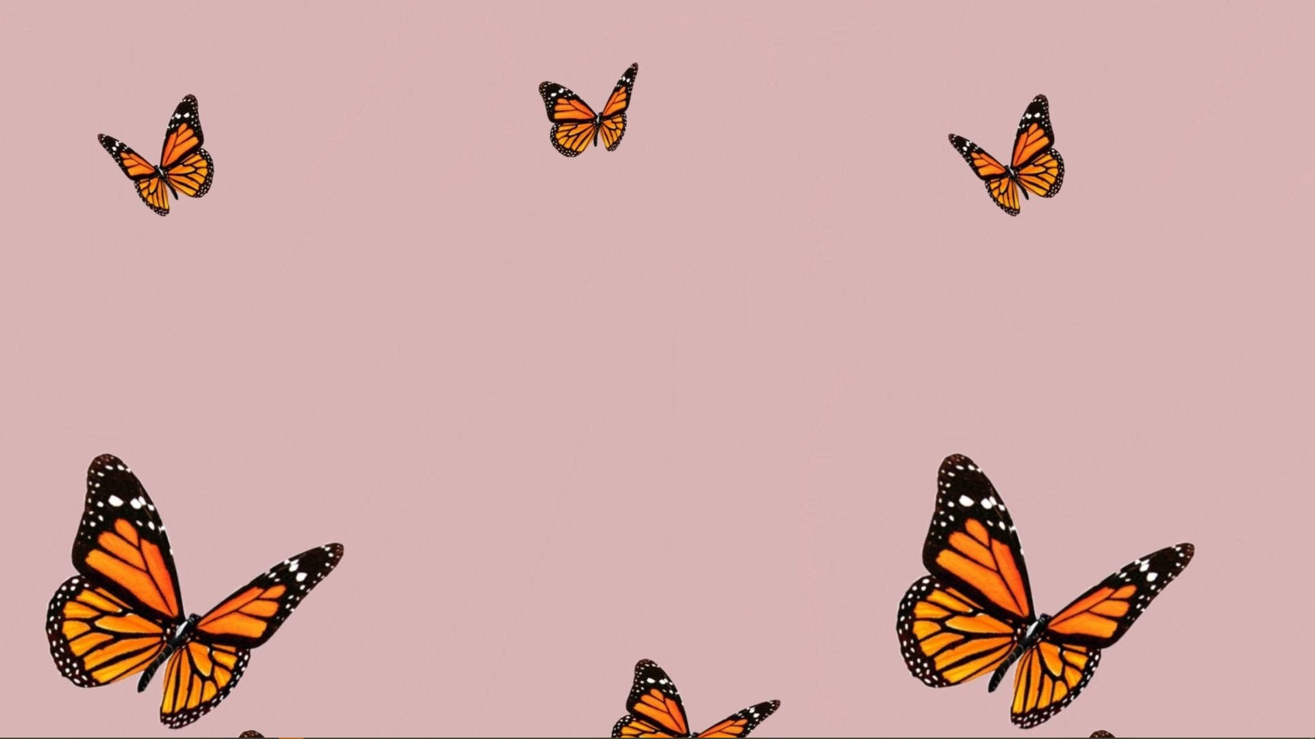 Nature Aesthetic Orange Butterfly Collage For Computer Background