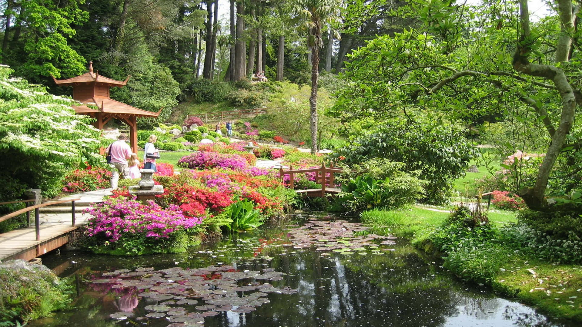 Nature At Its Finest - A Picturesque Landscape Of Japan