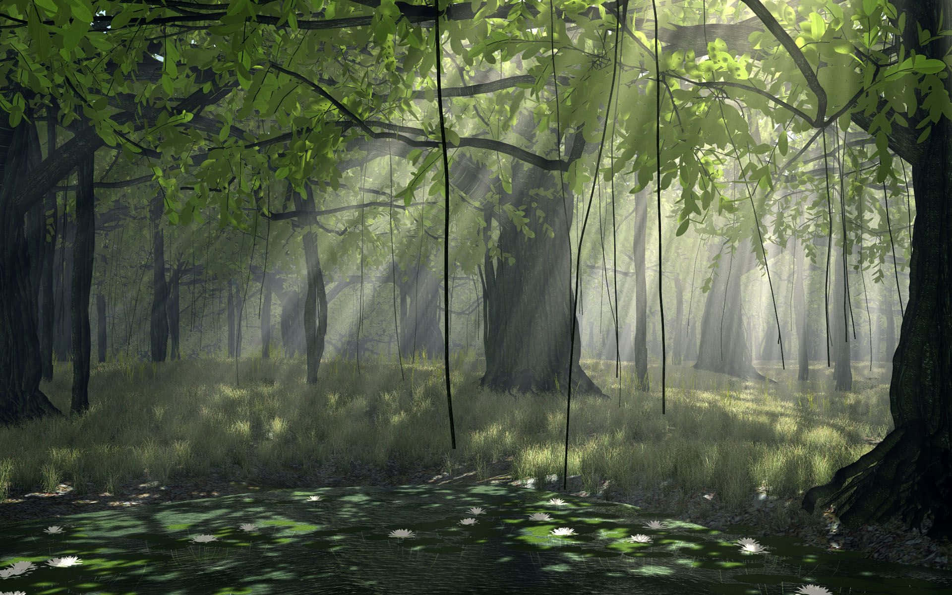 Nature Beckons You To Explore Anime Forest
