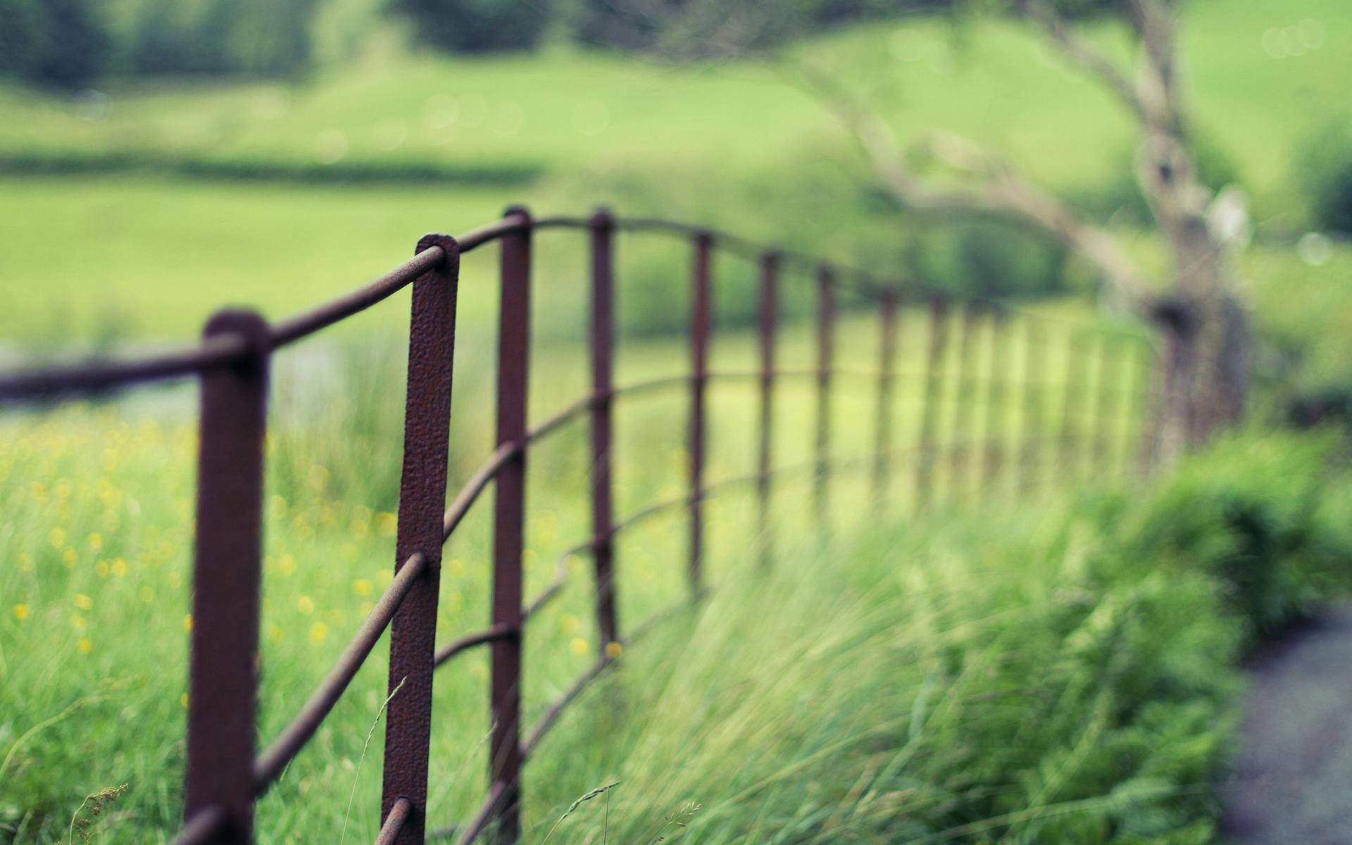 Nature Blurred Metal Fence Background