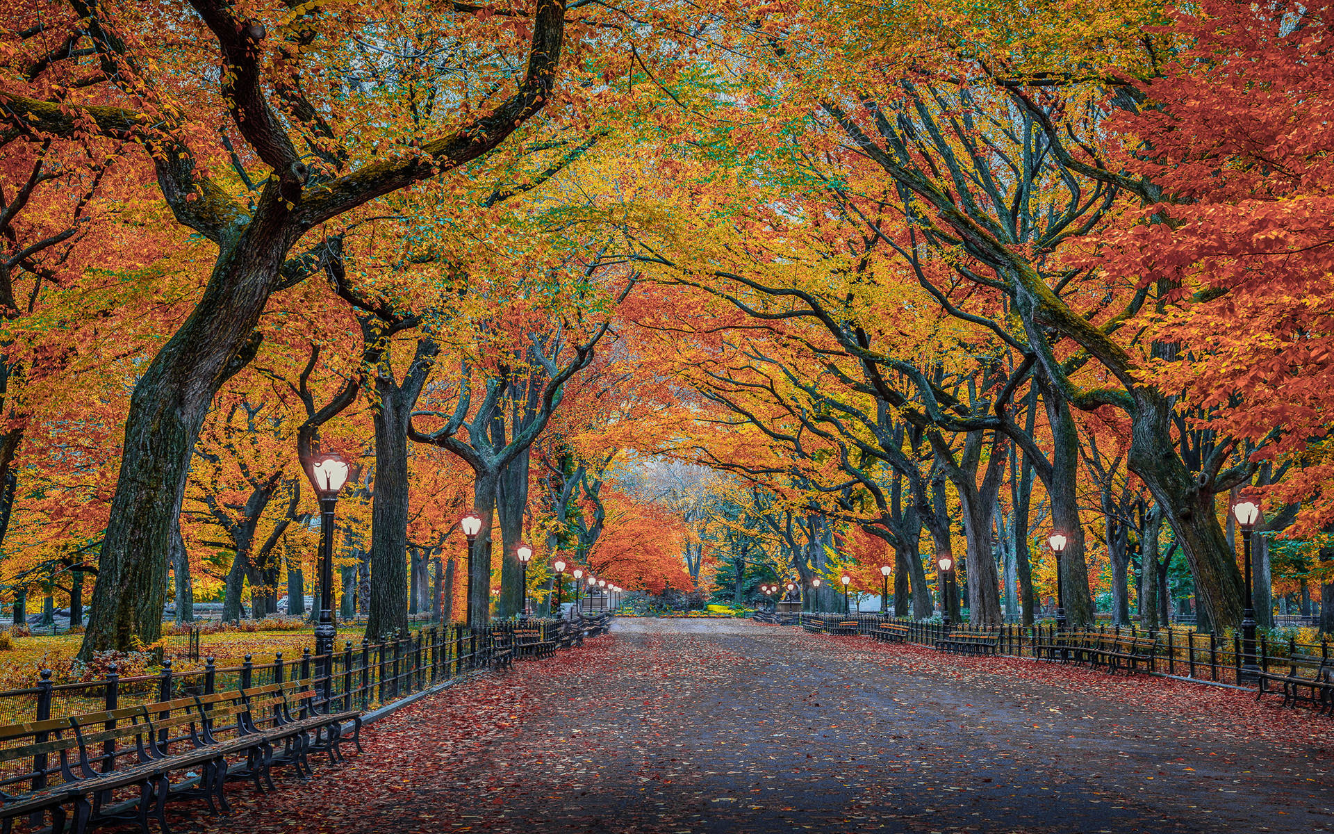 Nature Herbst Road Of New York 4k