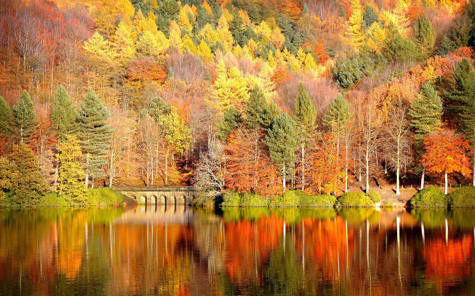 Nature In Its Most Beautiful Form-- An Autumnal Landscape Brimming With Gorgeous Fall Colors. Background