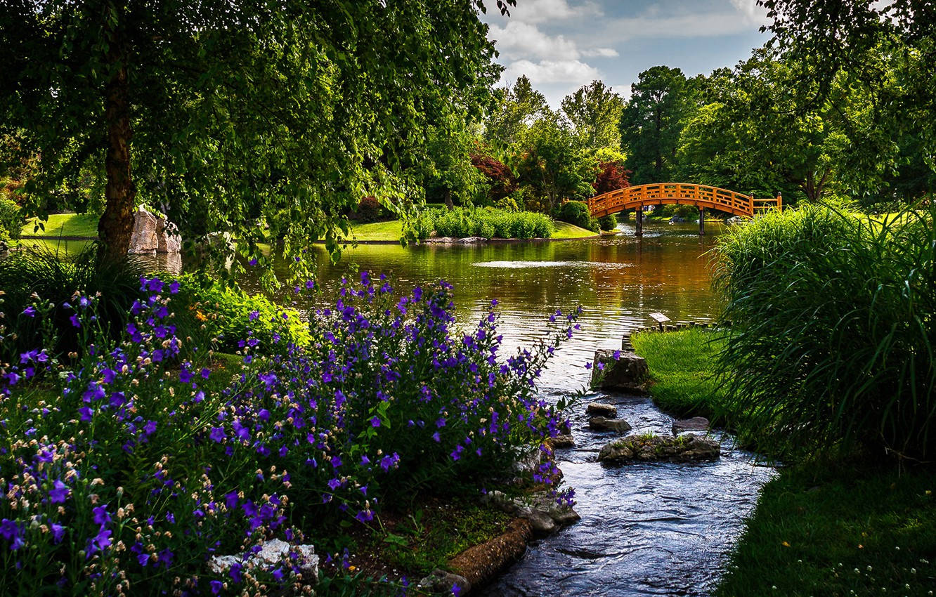 Nature In Missouri Background