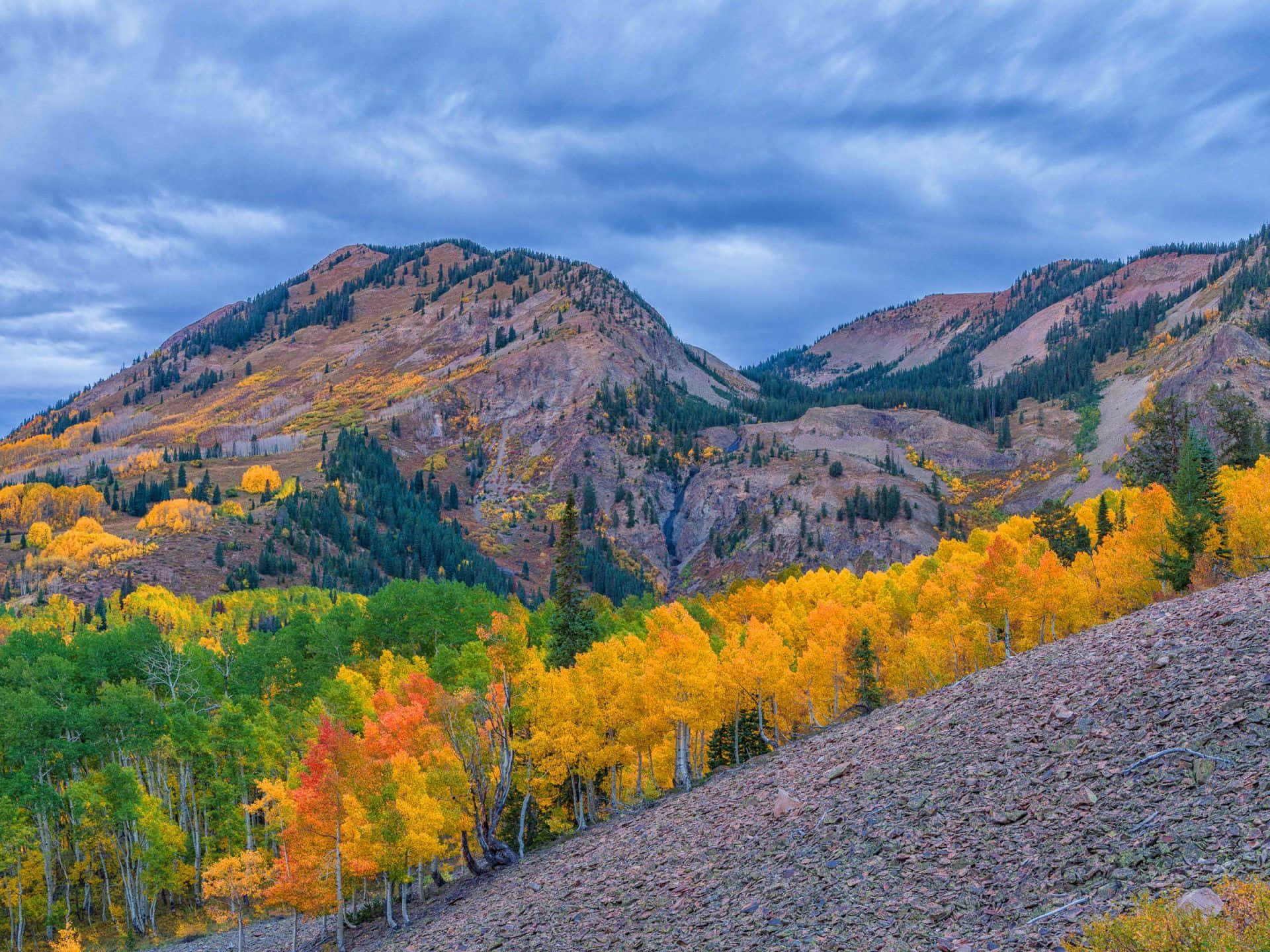 Nature Landscape Autumn Colorado Desktop