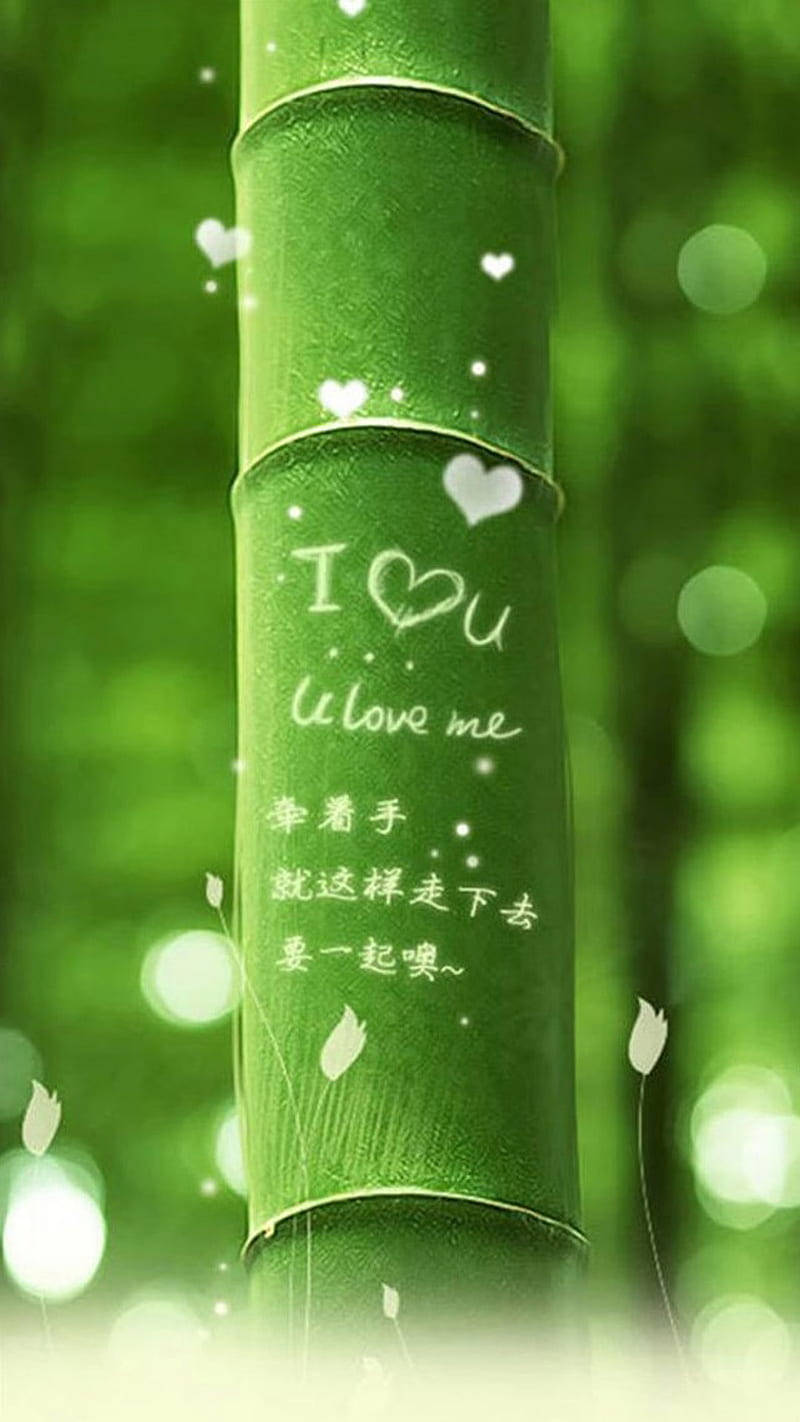 Nature Love Carved Bamboo Background