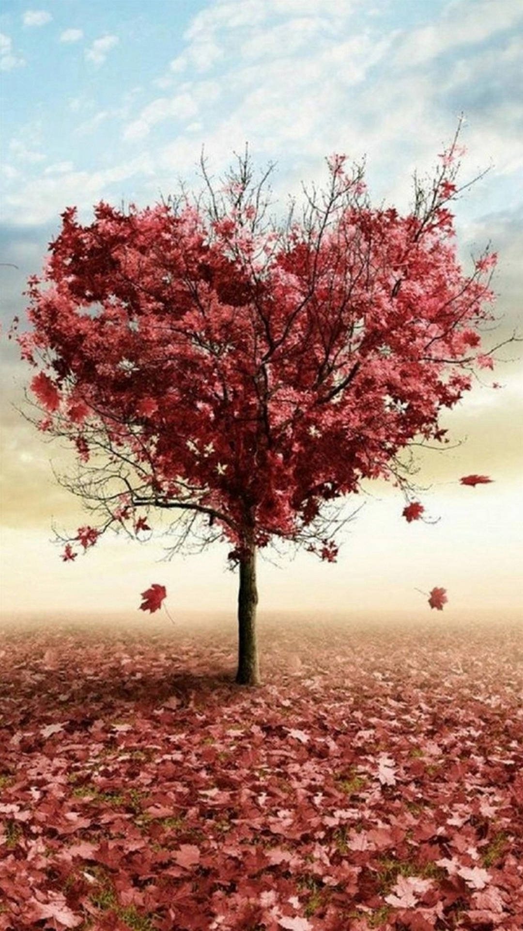 Nature Love Maple Tree Background