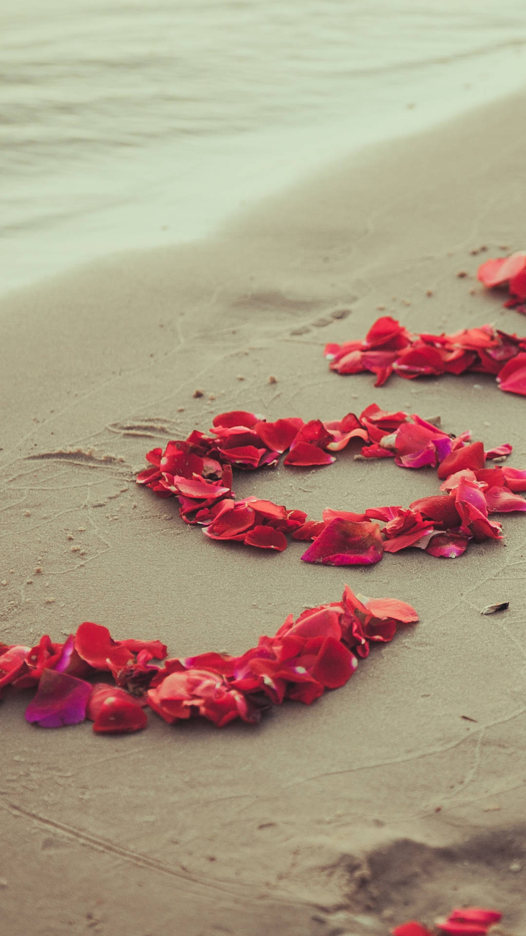 Nature Love Petals On The Beach Background