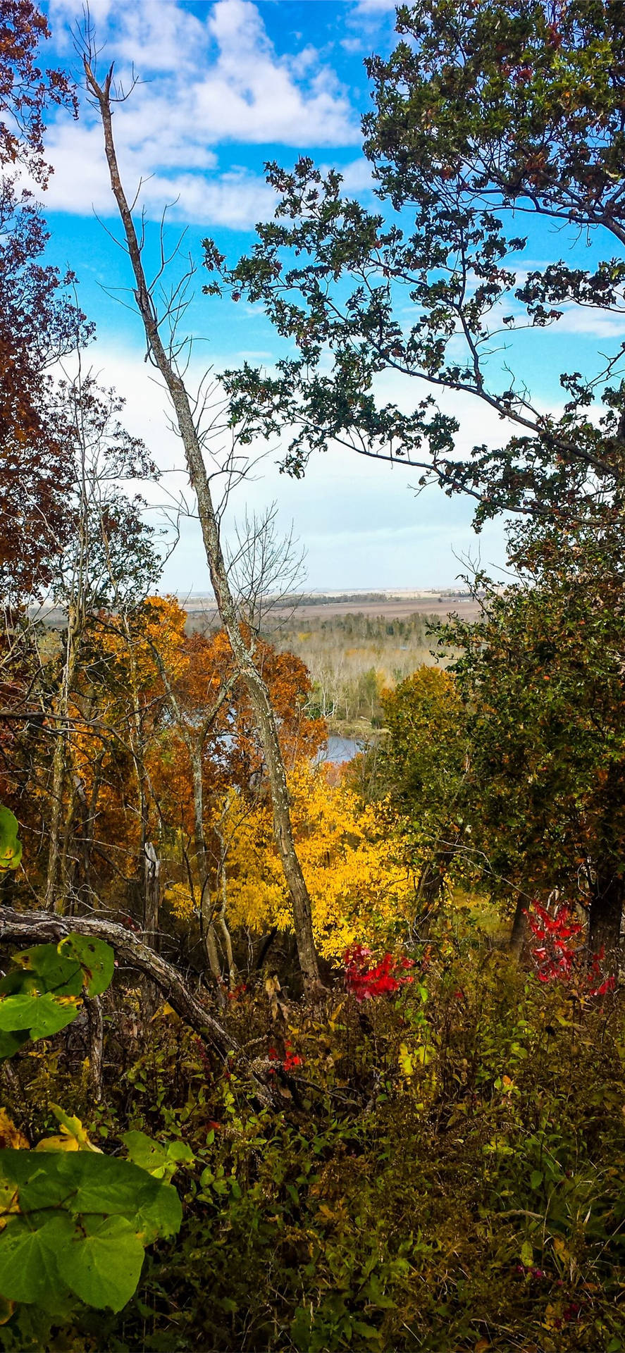 Nature Of Missouri Background