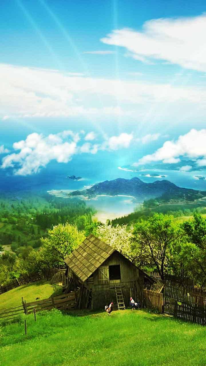 Nature Phone Wooden House Chickens Background