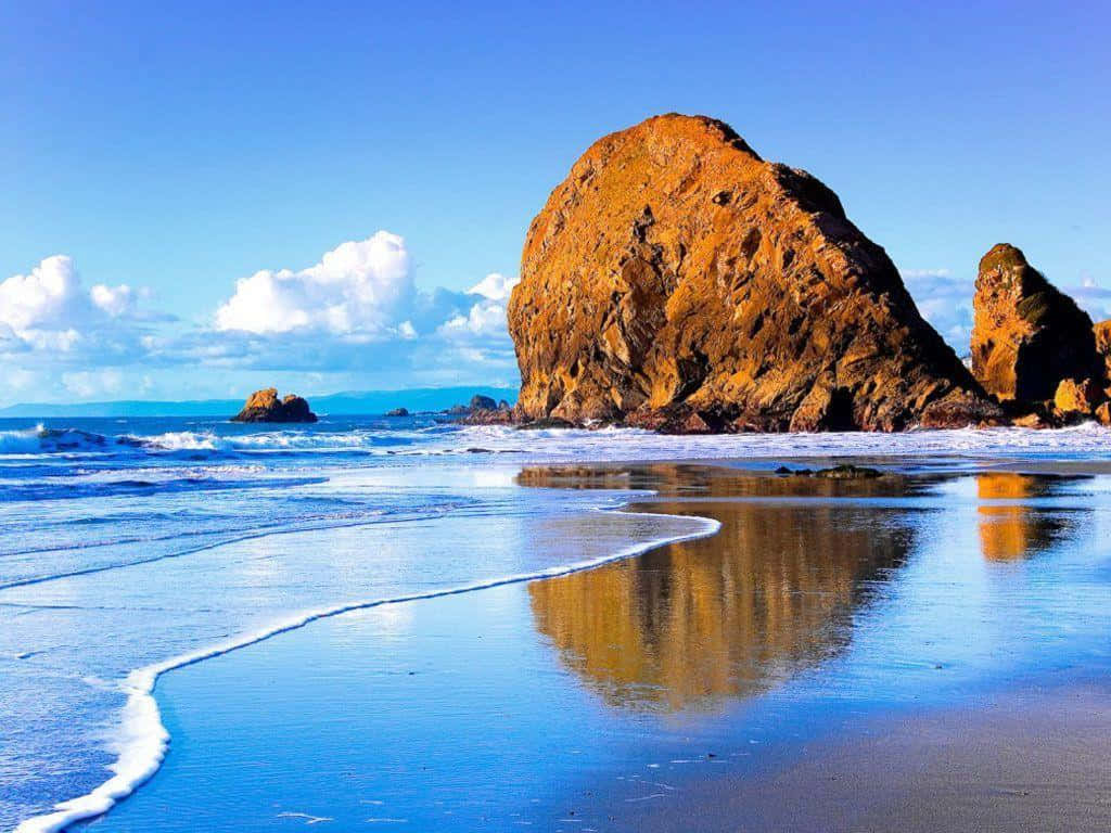 Nature's Beauty Background