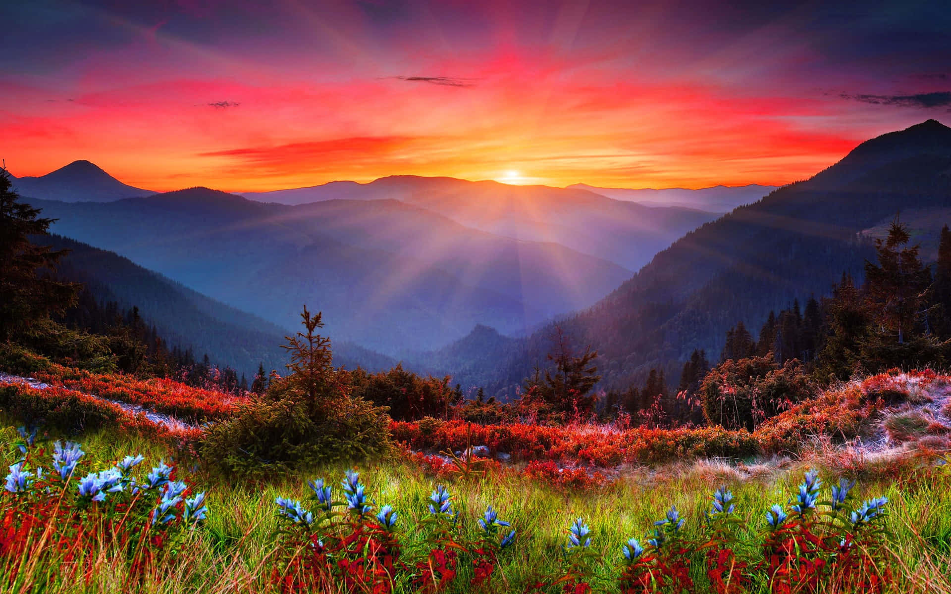 Nature's Majesty In The Pristine Mountain Range Background
