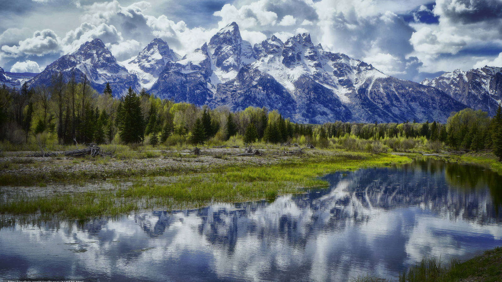 Nature Scenery In Grand Teton National Park