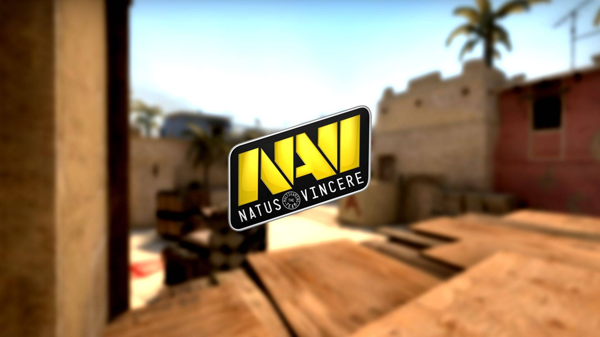 Natus Vincere On The Battlefield Background