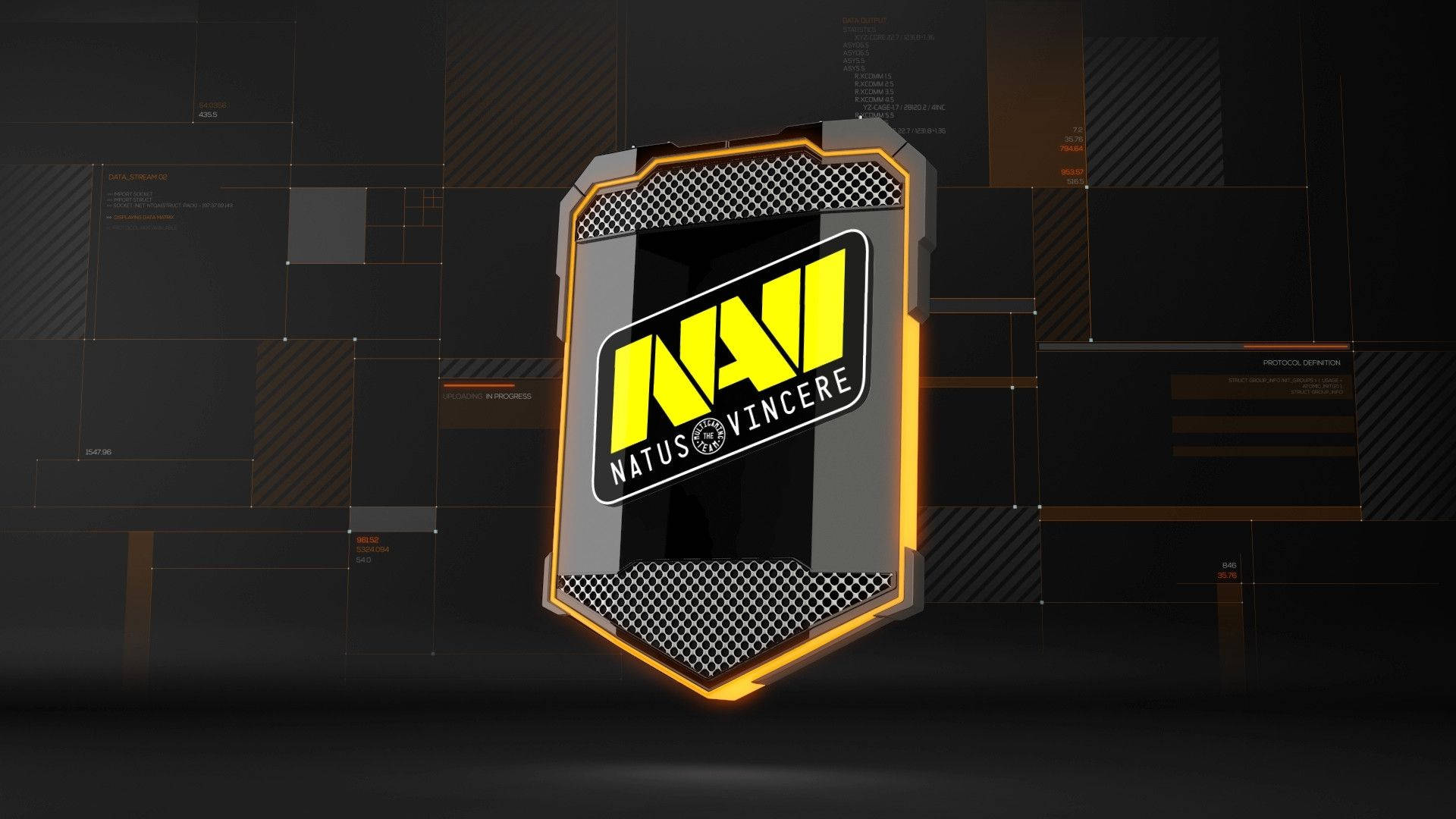 Natus Vincere Shielded Logo Background