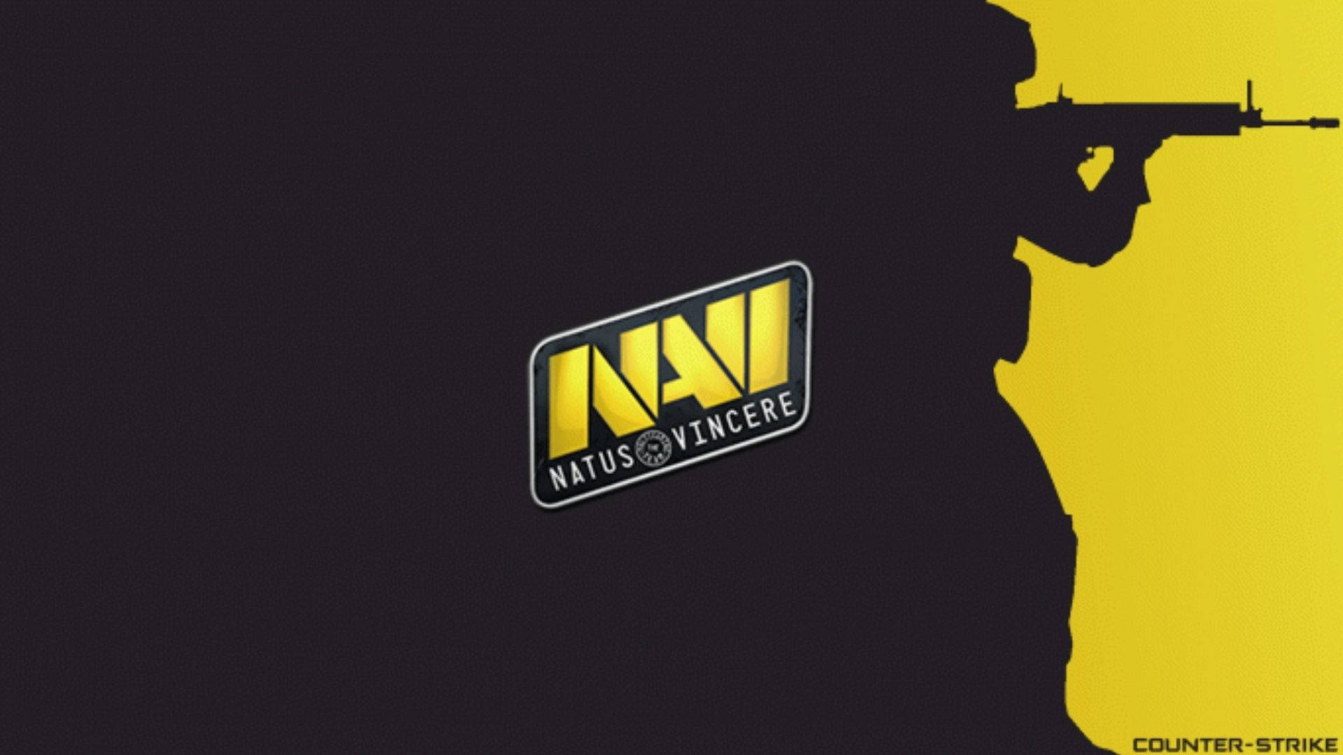 Natus Vincere With The Shadow Background