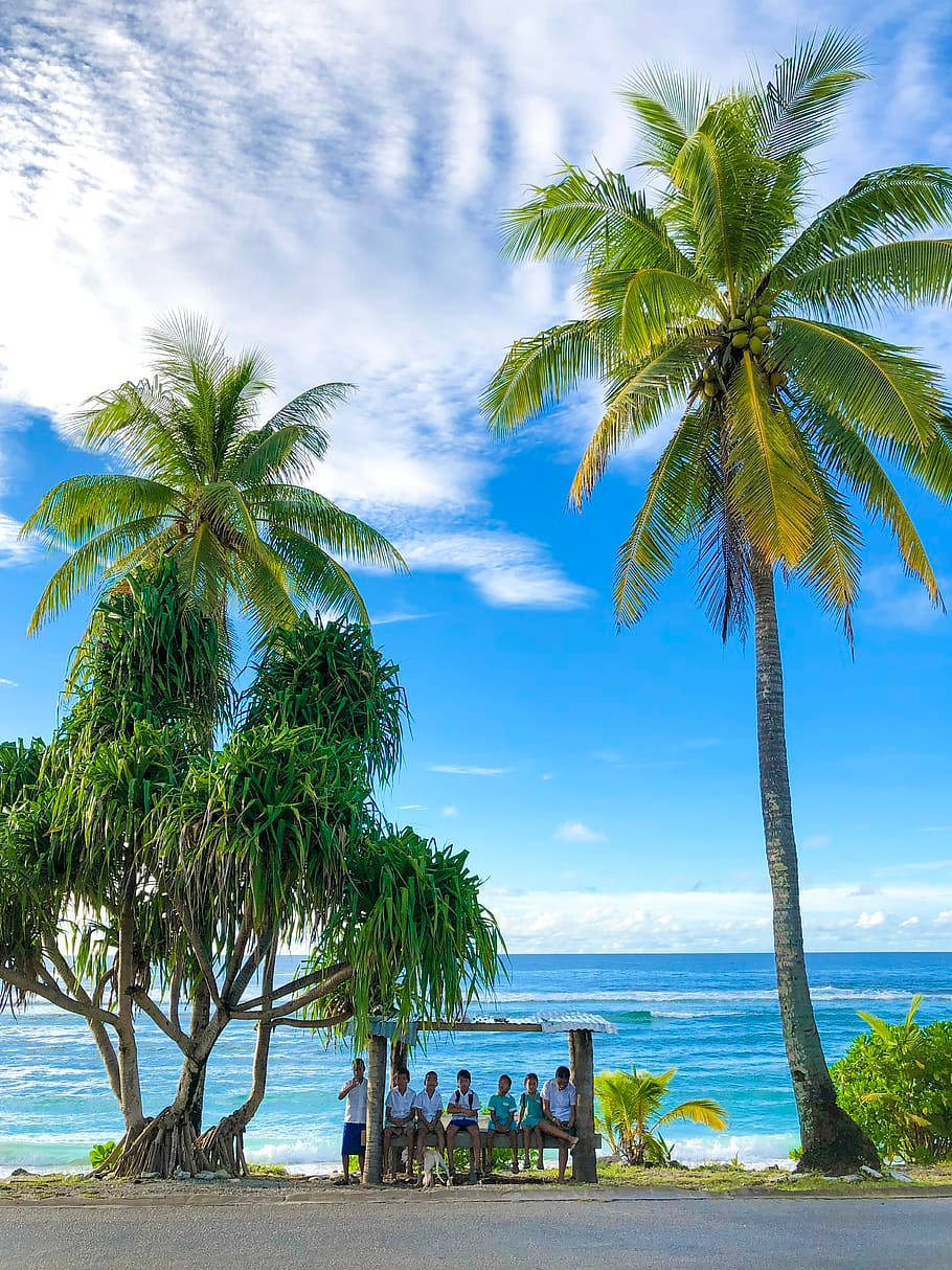 Nauru Wood Shed By The Beach Background