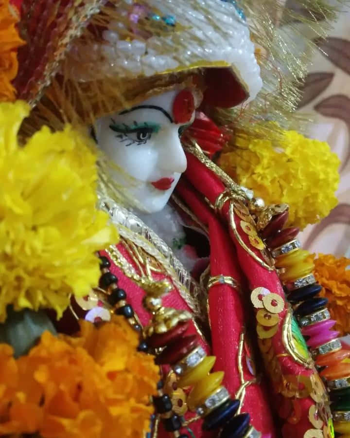 Nav Durga Doll Closeup Background