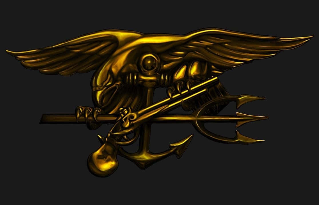Navy Seals: The Few, The Proud Background
