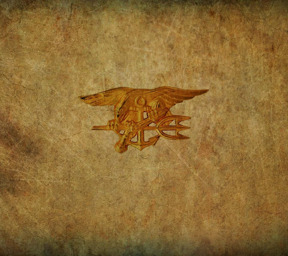 Navy Seals Training For Combat Games Background