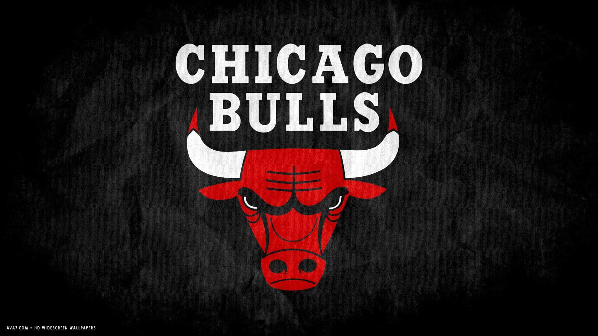 Nba Teams Bulls