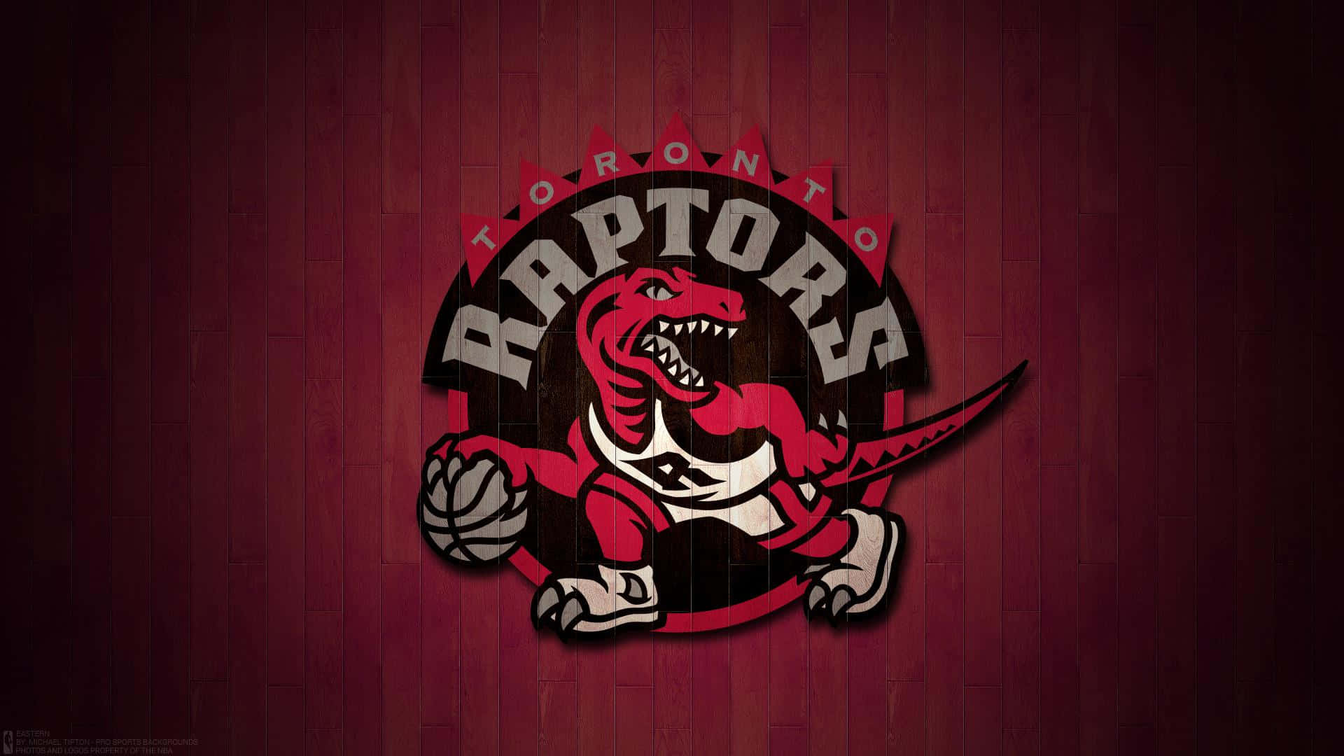 Nba Teams Toronto