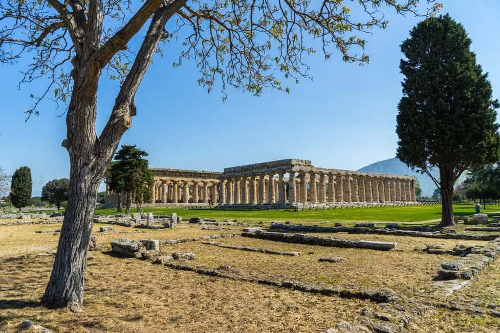 Nearly Demolished Paestum Background