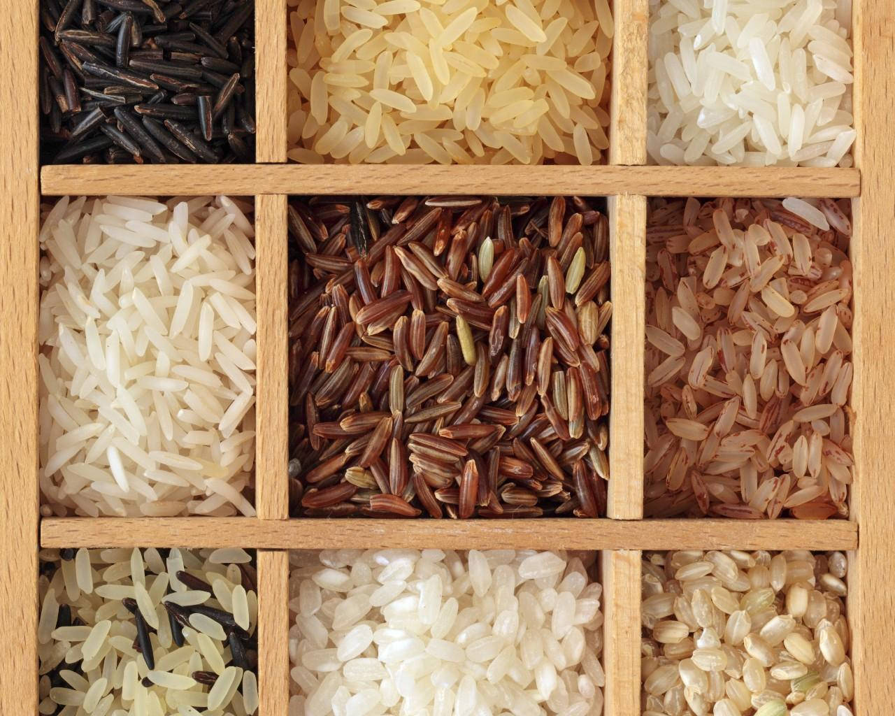 Neatly Arranged Rice