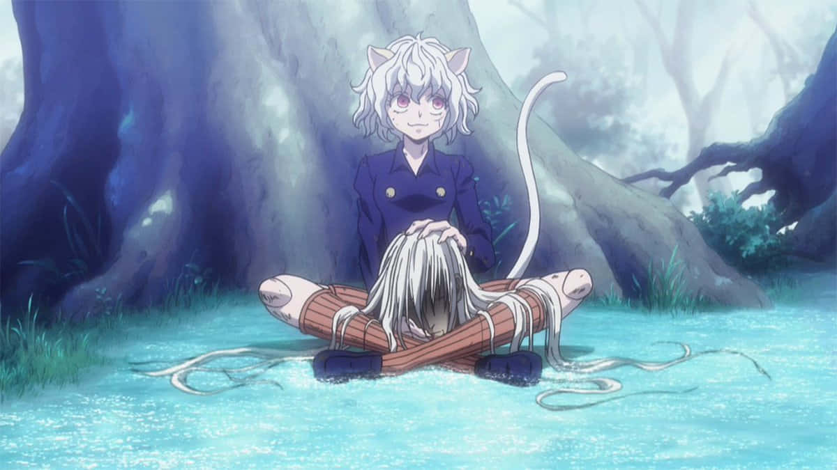 Neferpitou Hunter X Hunter Pfp Background
