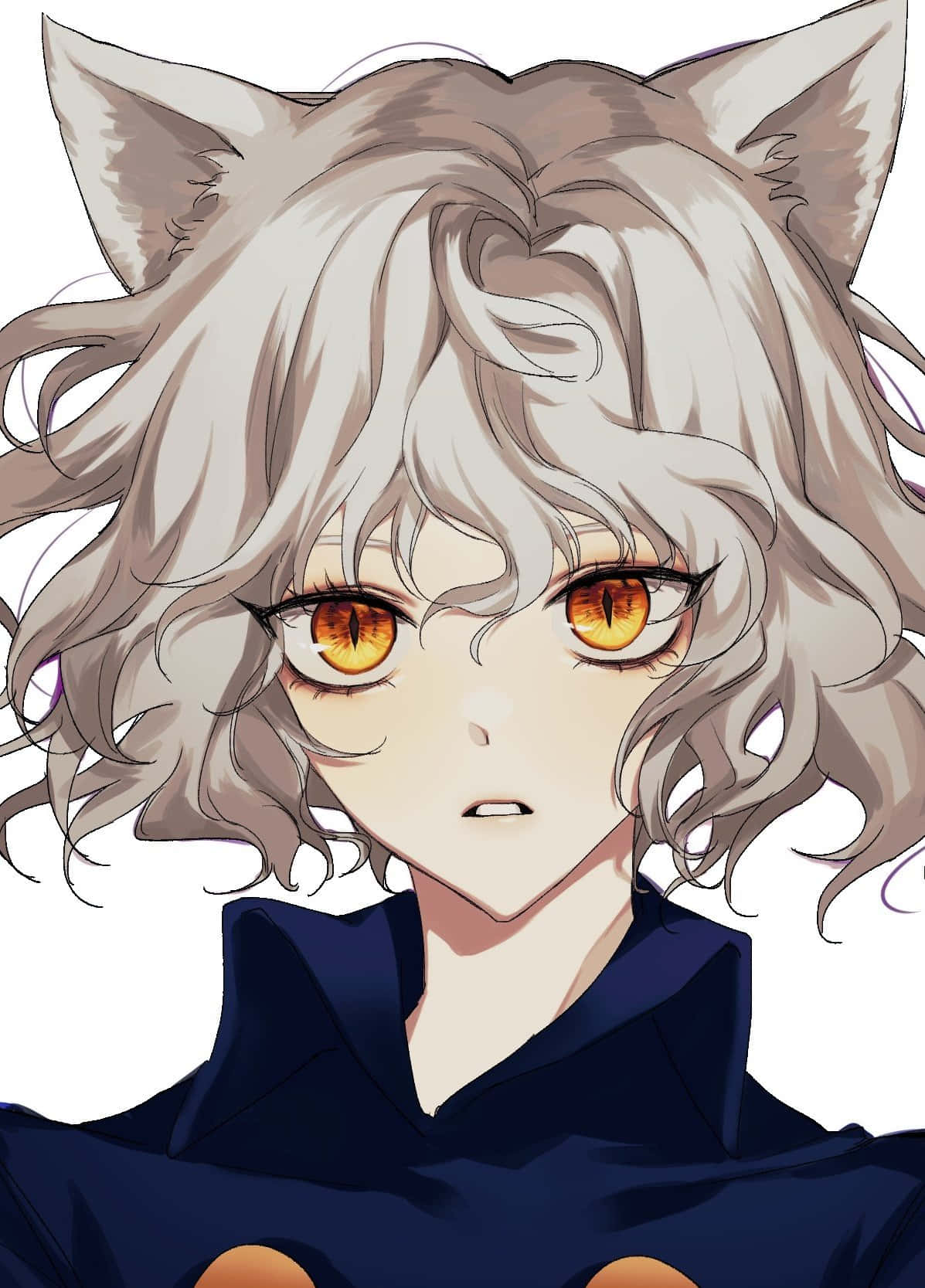 Neferpitou The Cat King, One Of The Royal Guards In Hunter X Hunter Background