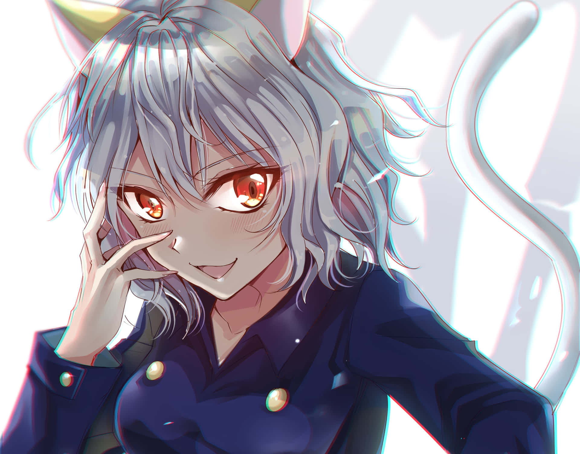 Neferpitou - The Feline Life Guardian Of The 91st King Of Kakin