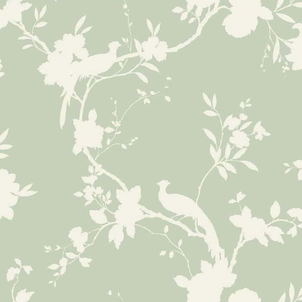 Negative Painting In A Cute Sage Green Paint Background