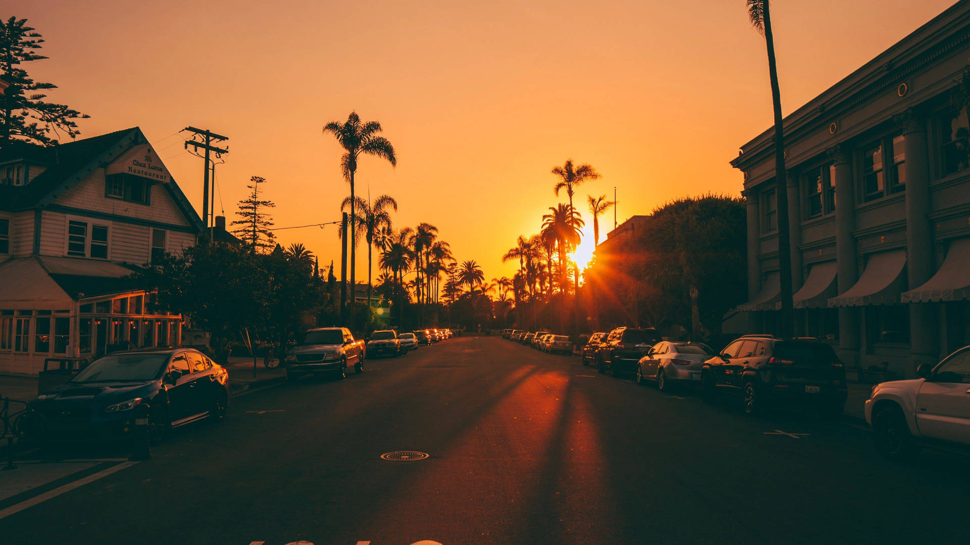 Neighborhood Street In Los Angeles 4k Background