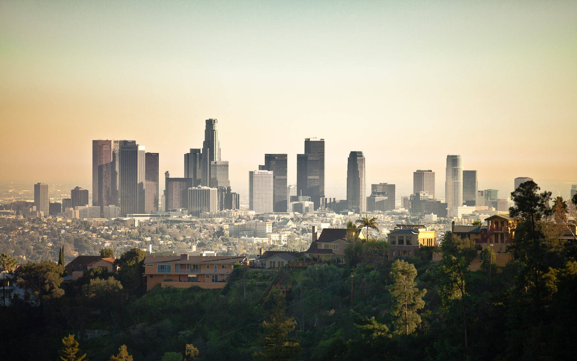 Neighborhoods And Buildings In Los Angeles 4k