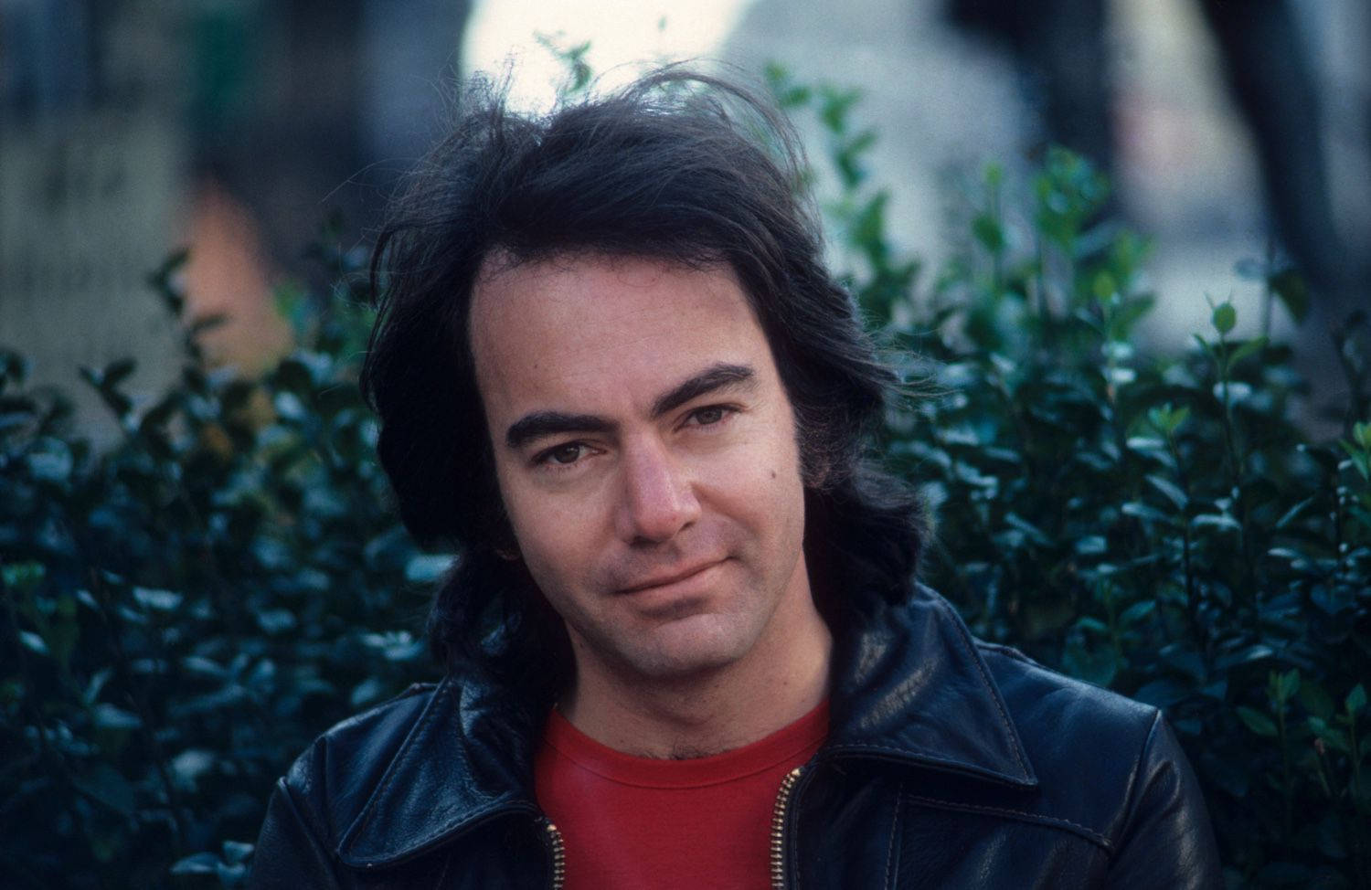 Neil Diamond And The Bush Background