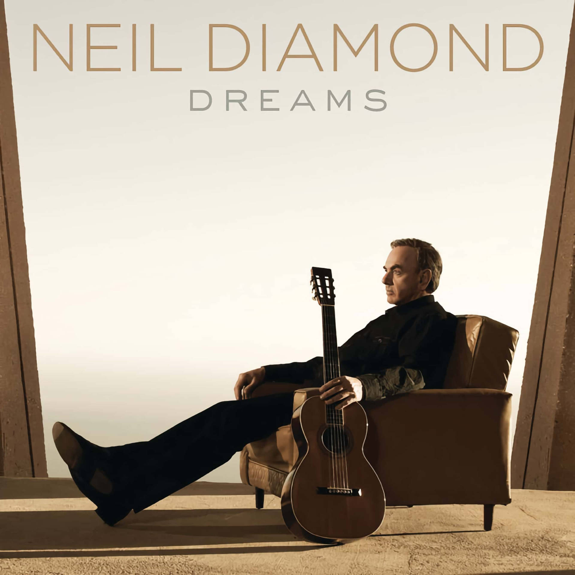 Neil Diamond Dreams