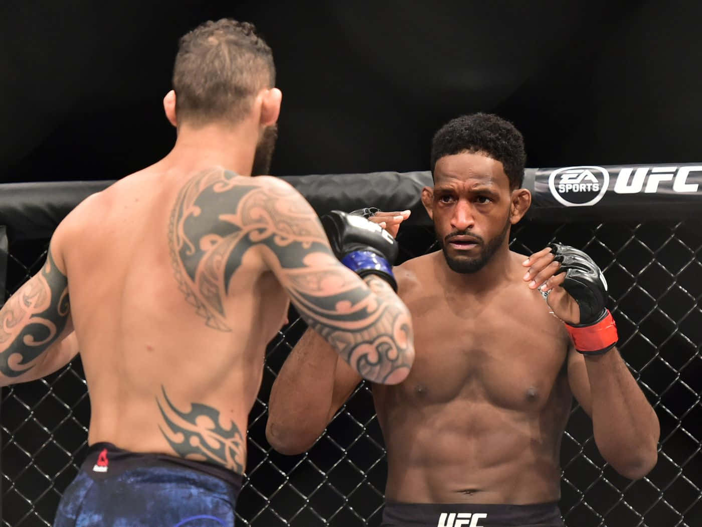 Neil Magny Fighter Background