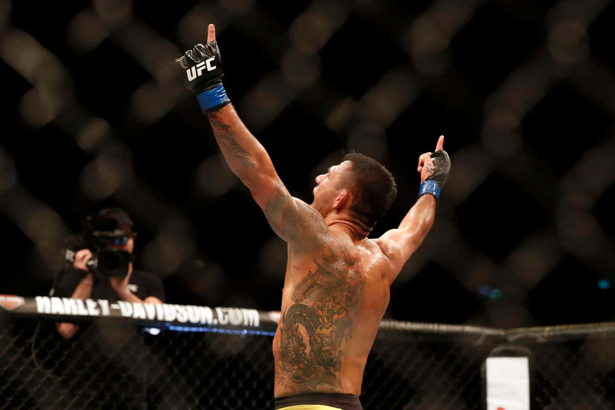 Neil Magny Victory Background