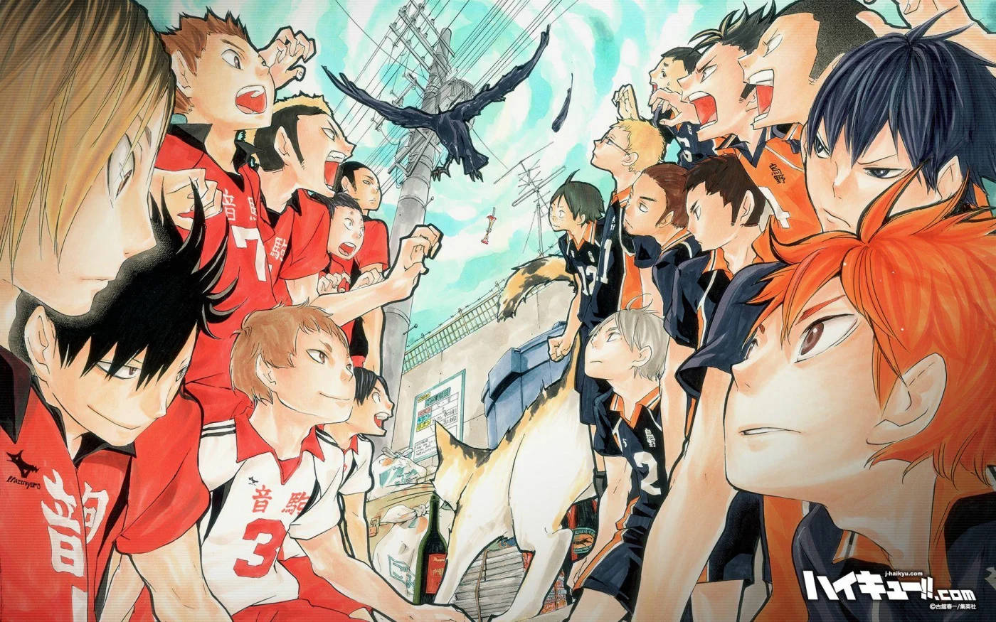 Nekoma And Karasuno Match Haikyuu Aesthetic Background