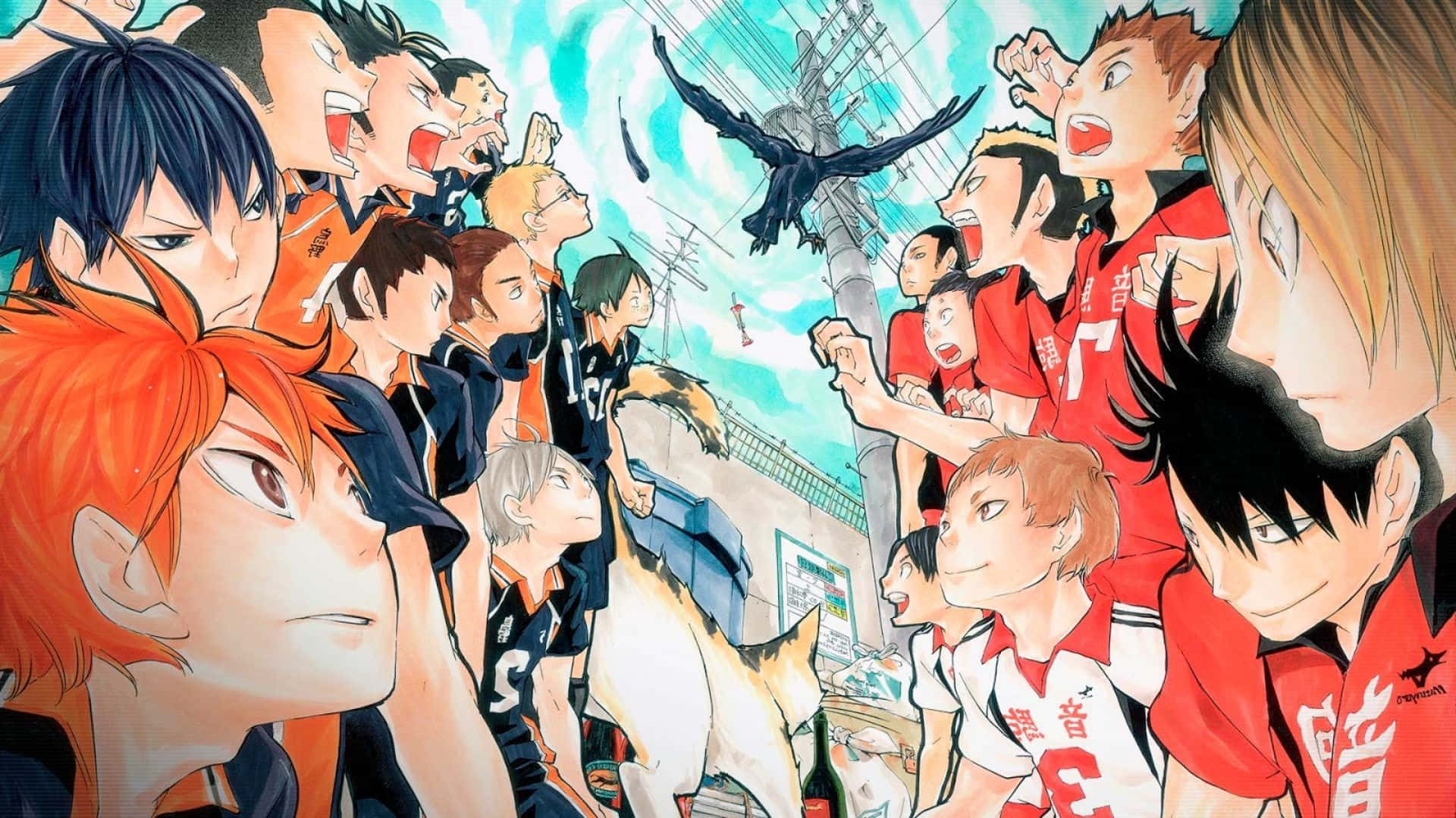 “nekoma High School Kicking Up Action” Background