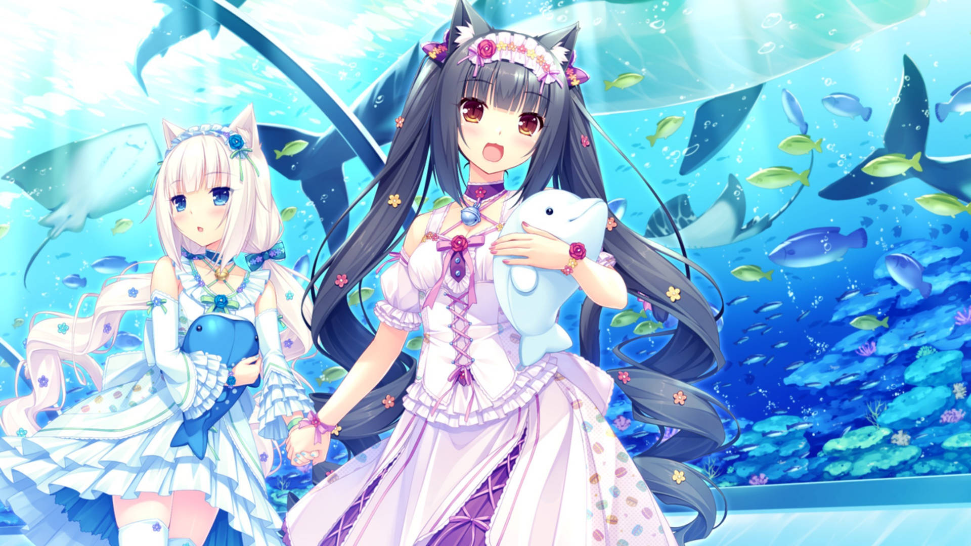 Nekopara Characters Visiting An Aquarium