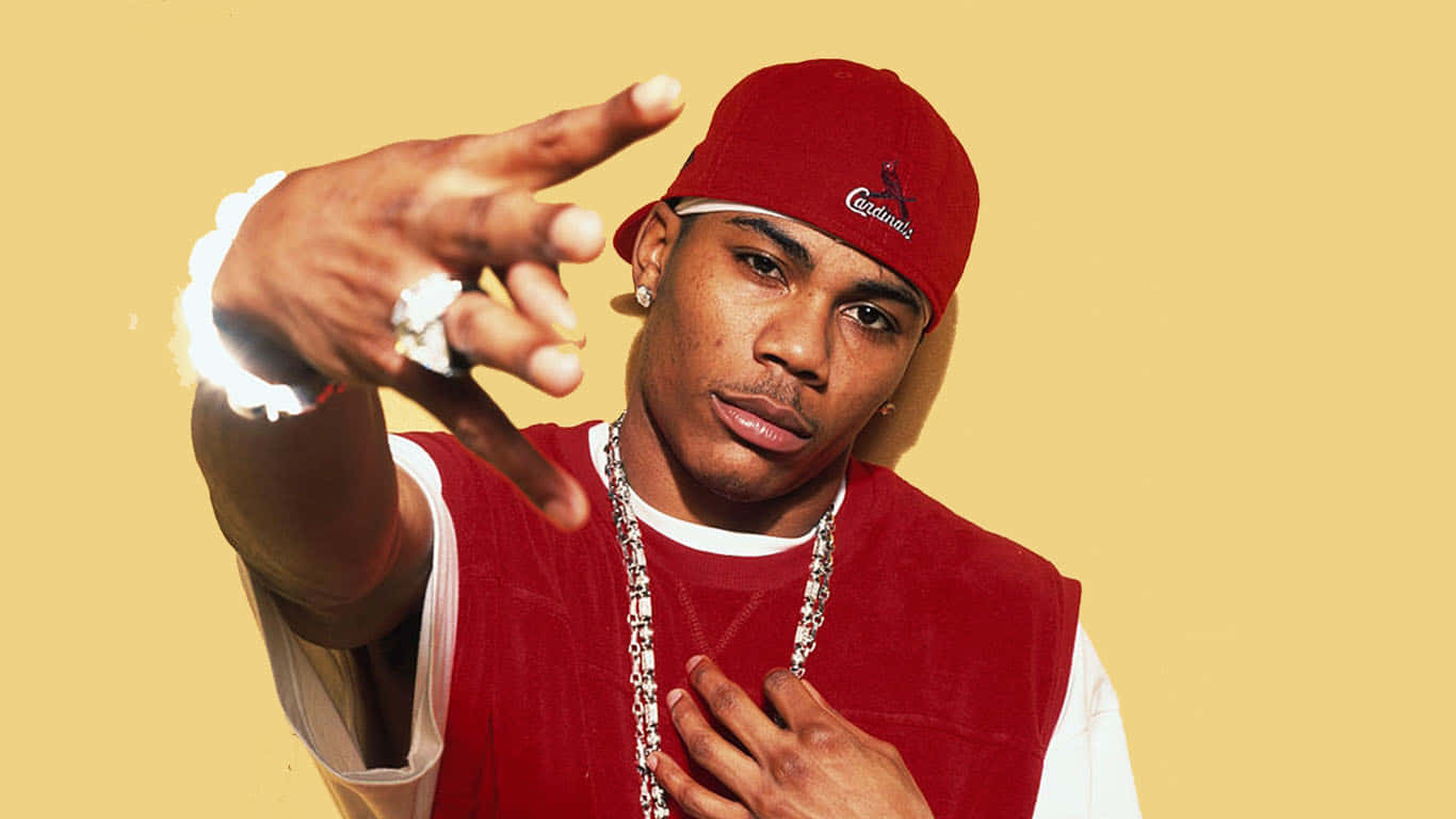 Nelly Performs During A Tour Stop