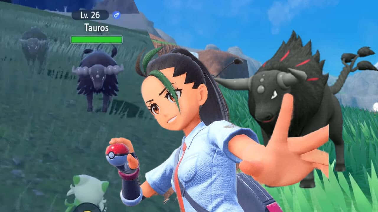 Nemona With Paldean Tauros Background