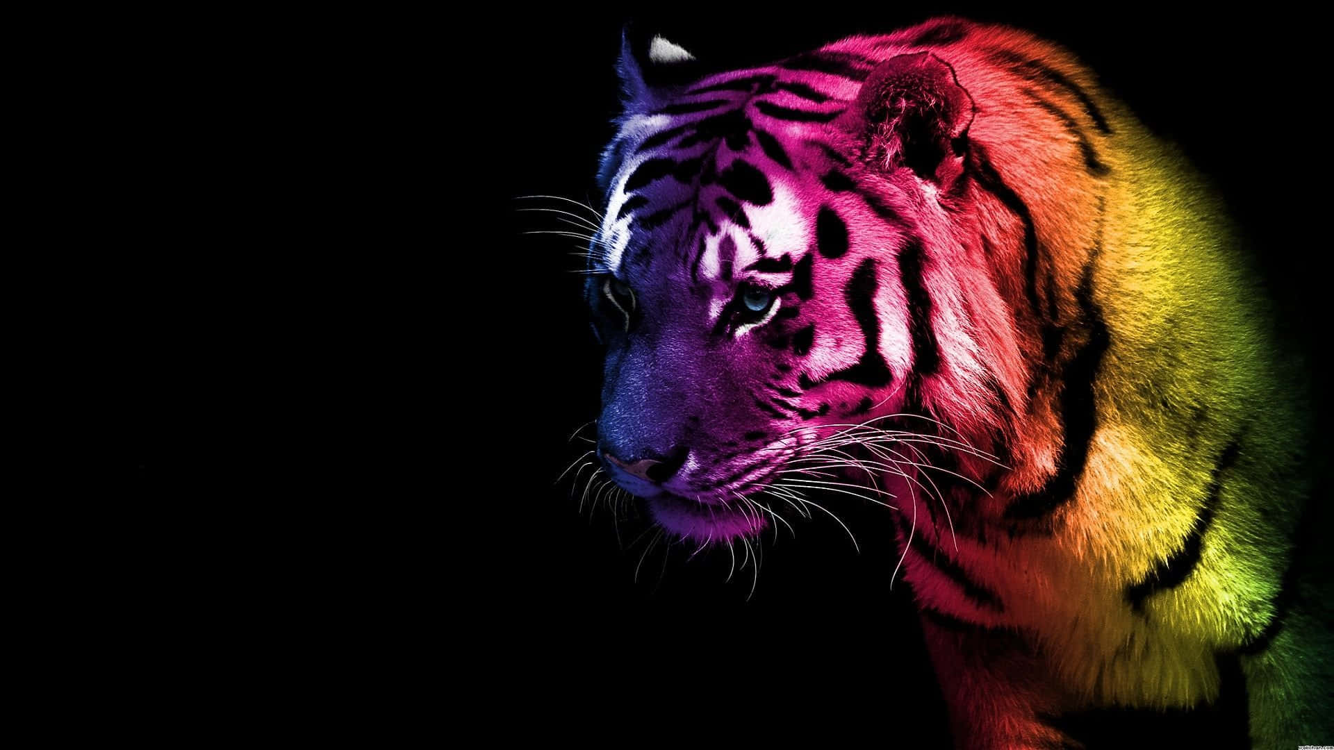 Neon Animal Colored Tiger Edit