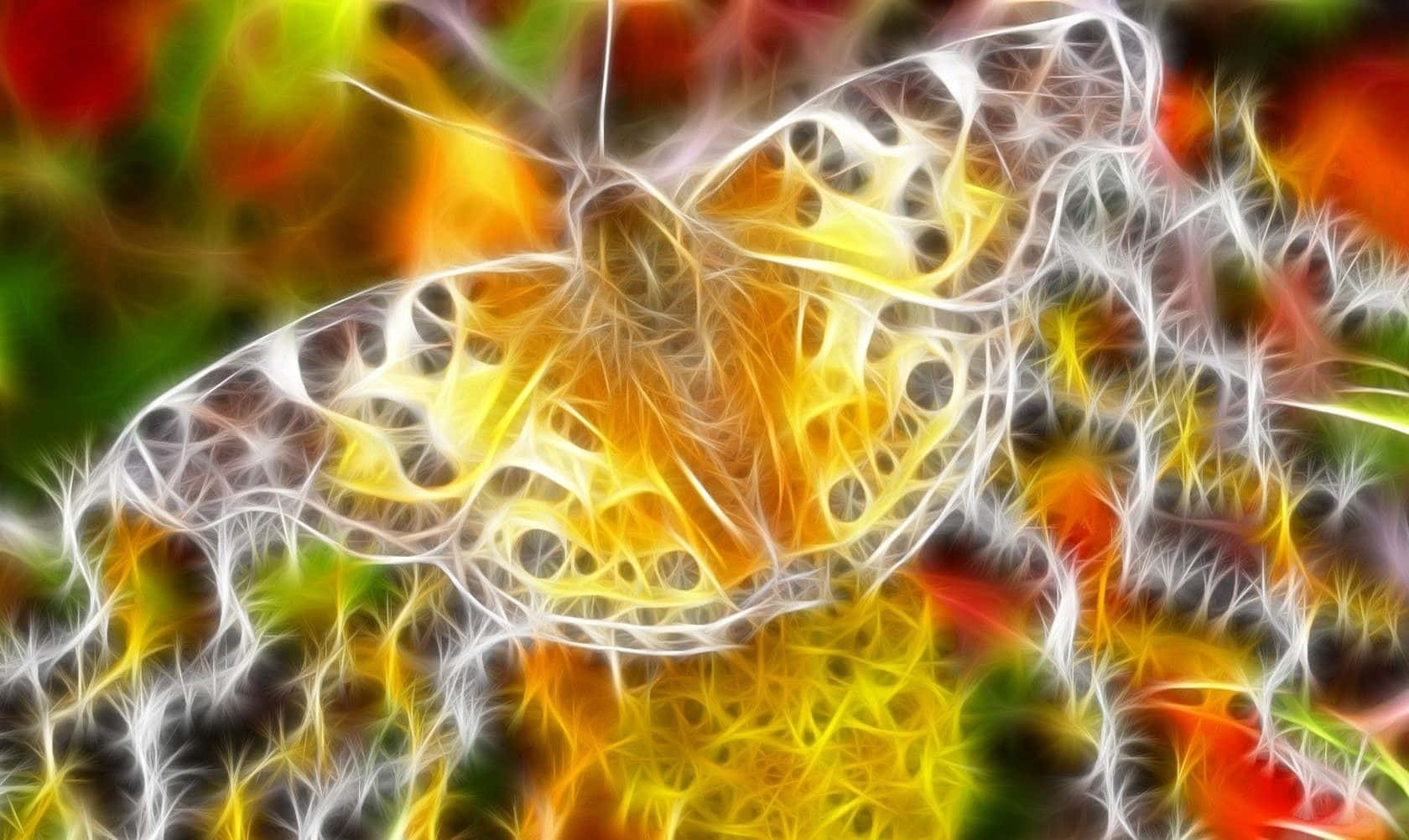 Neon Animal Golden Yellow Butterfly Background