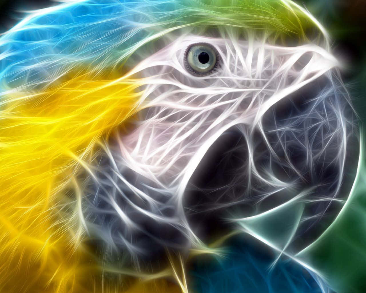 Neon Animal Macaw Bird's Head Background