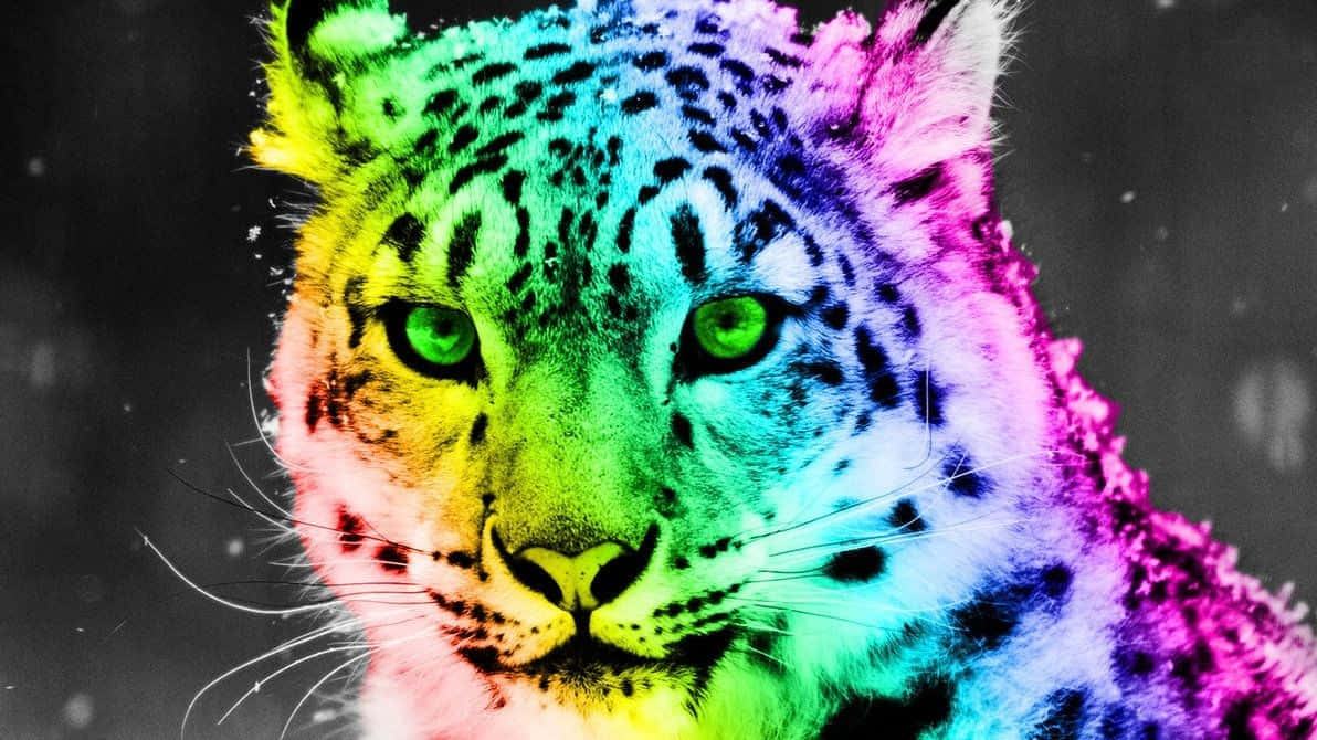Neon Animal Rainbow Cheetah With Green Eyes