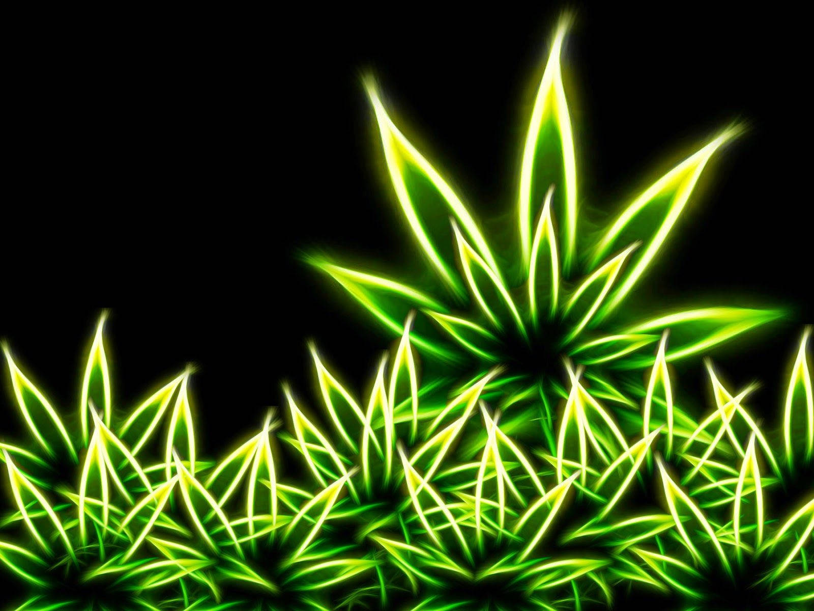 Neon Art Black Background Weed Aesthetics Background